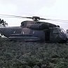 hawg53