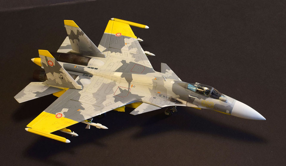 SU-33 Ace Combat Hasegawa 1/72 - Critique Corner - ARC Discussion