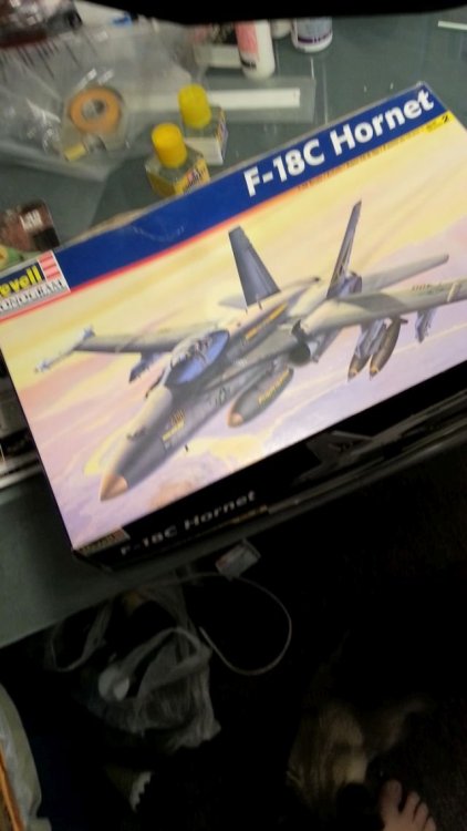 f-18.jpg