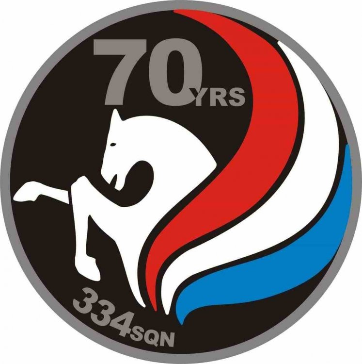 Jubileumfeest-70-jaar-334-squadron.jpg
