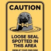 LooseSeal