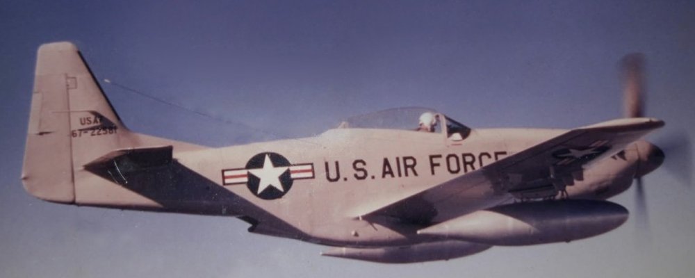 9463283-BEHs0lCx_USAF_F-51D_Cavalier.thumb.jpg.61f03654d05e88125547b441a46bb3e1.jpg