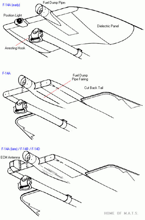 f14-detail-beavertail.thumb.gif.3fd4be2d9d5a00905ceef85b24ac29ae.gif