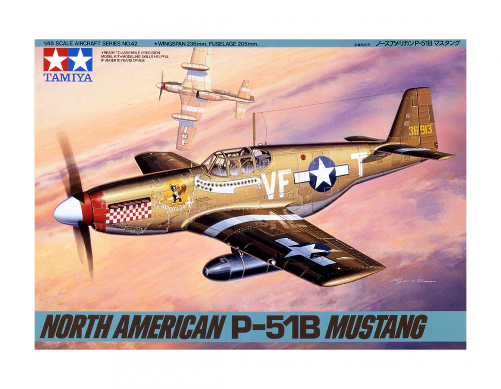 61042_P-51B_Mustang_02.jpg