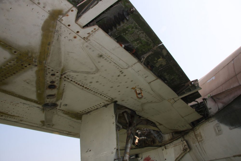 F-105D-Left-Hand-Flap-Between-Hinges.jpg