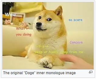 DOGE.JPG.5c1c771b5a497cb22d2a74dc69d6f5ad.JPG