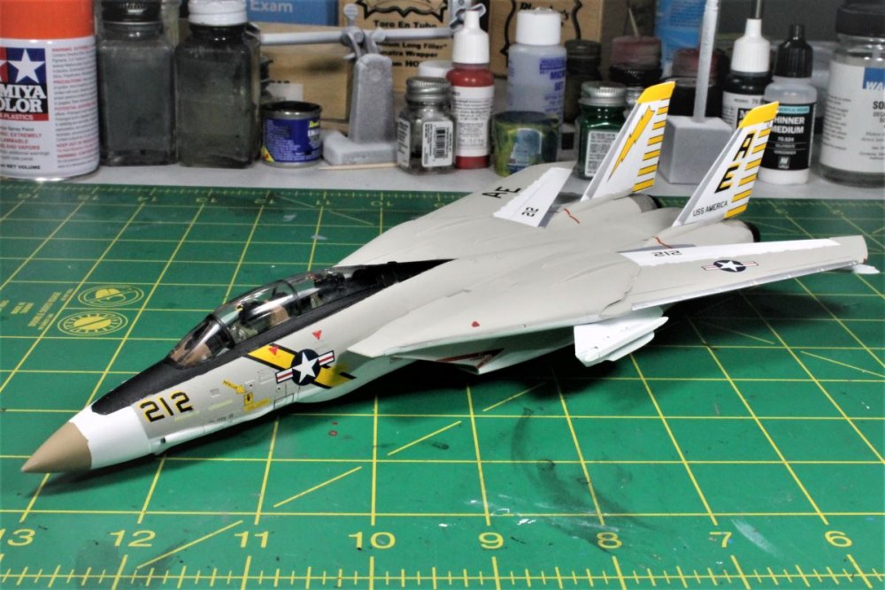 Tomcat 66.JPG