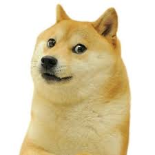 doge.jpeg.f87364dea9750254da7bdf9fdbf6b93d.jpeg