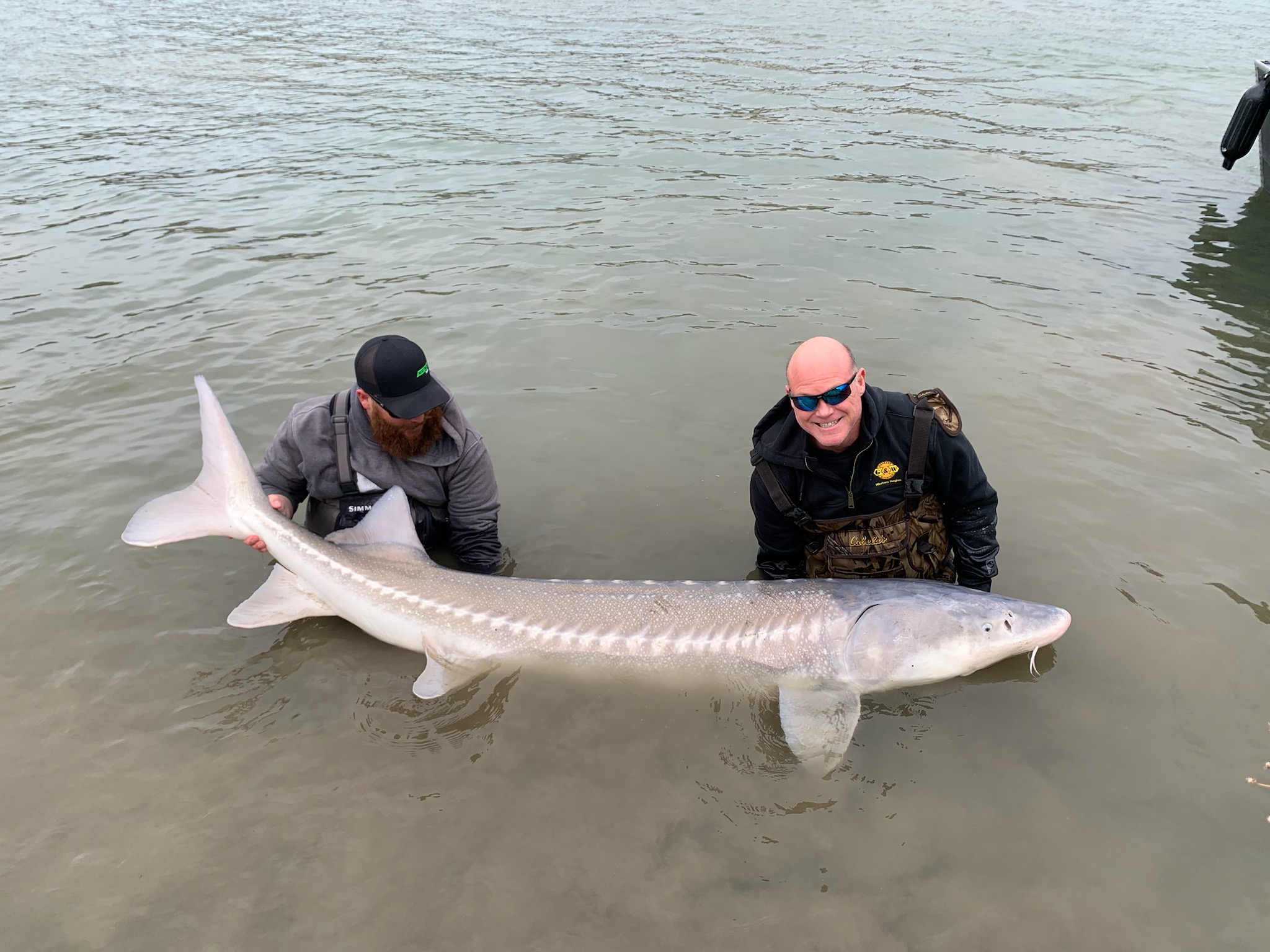 Snake River sturgeon fishing - General Discussion - ARC Discussion