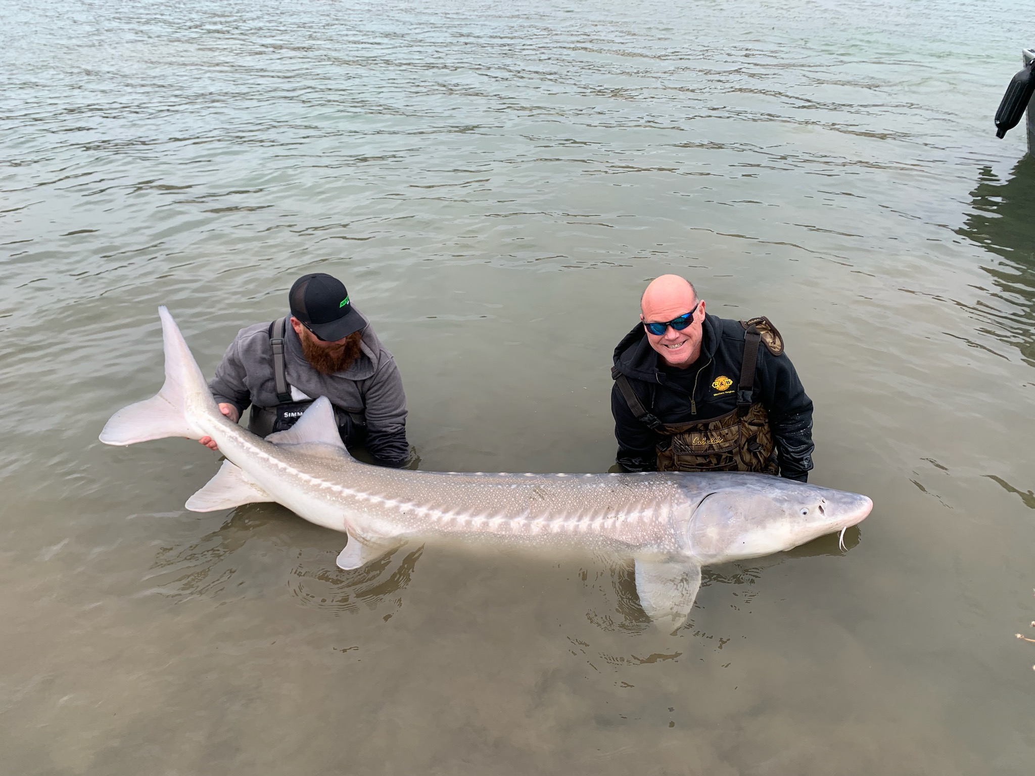 Snake River sturgeon fishing - General Discussion - ARC Discussion Forums