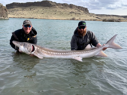 Snake River sturgeon fishing - General Discussion - ARC Discussion Forums