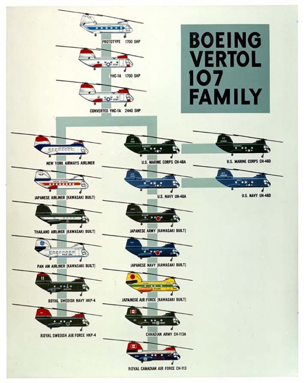 BV-107_H-46_Family_Tree_Ai_Sm.thumb.jpg.4016d00ed3d036fb4a1fa9de9b17a9f0.jpg