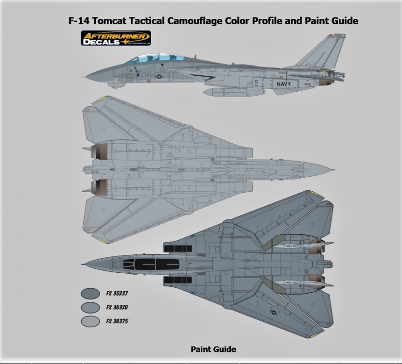 Tactical Paint Scheme-F-14A.png
