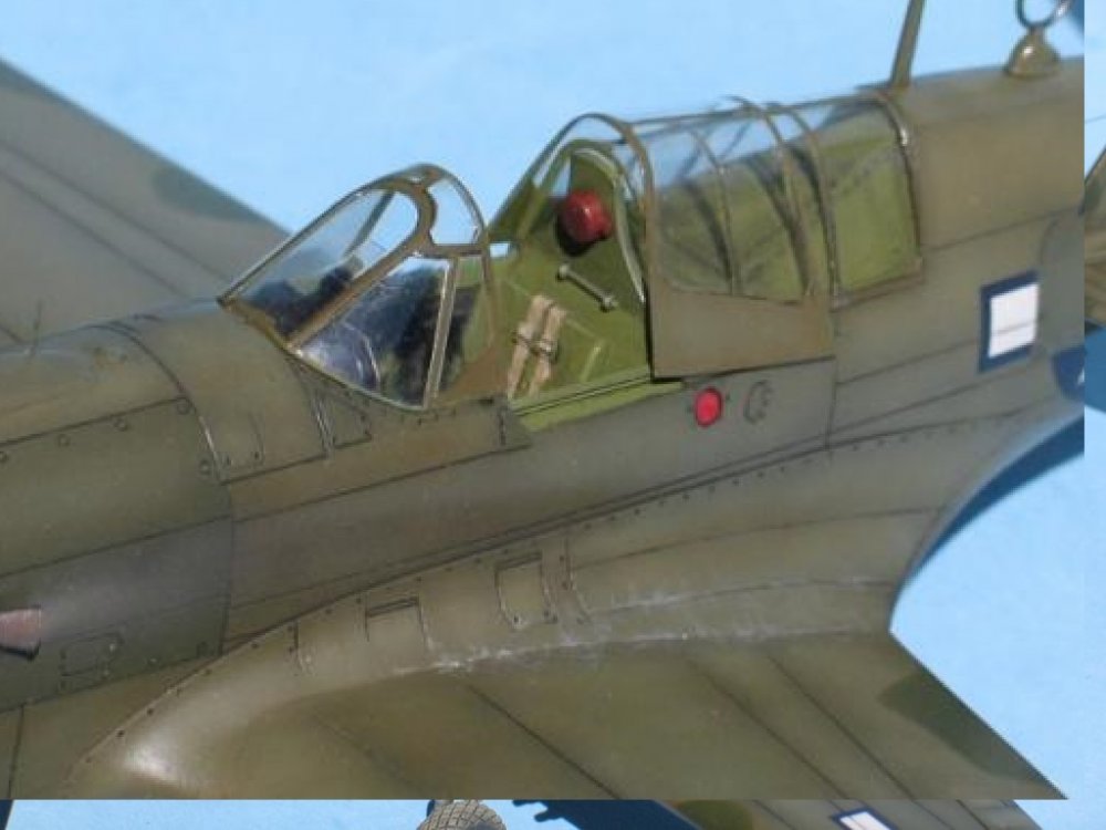 P40N-08 Hasegawa.jpg