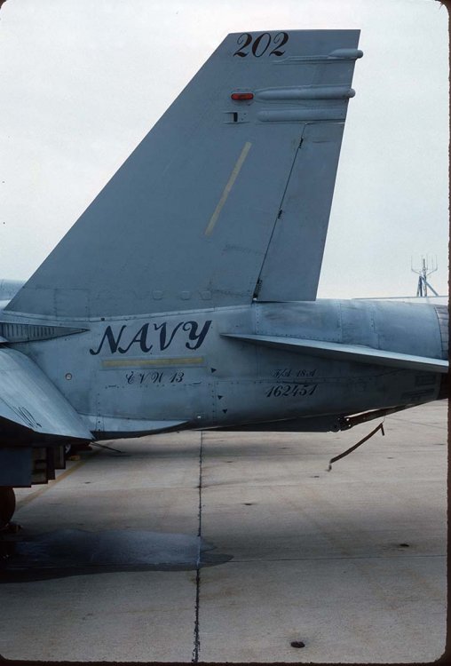 680959739_FA-18A162451CVW13VFA132AK202USSCoralSeainsideBuNoNASWashigntonADW.thumb.jpg.cf6d3bf64f82ebbea3ad7ad084543ded.jpg