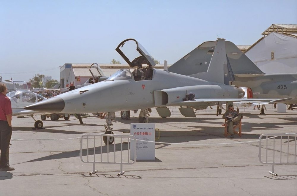 1408293868_F-5TIGERIII34LF__812.thumb.jpg.490aedd11840b52df5273ada57b2833e.jpg