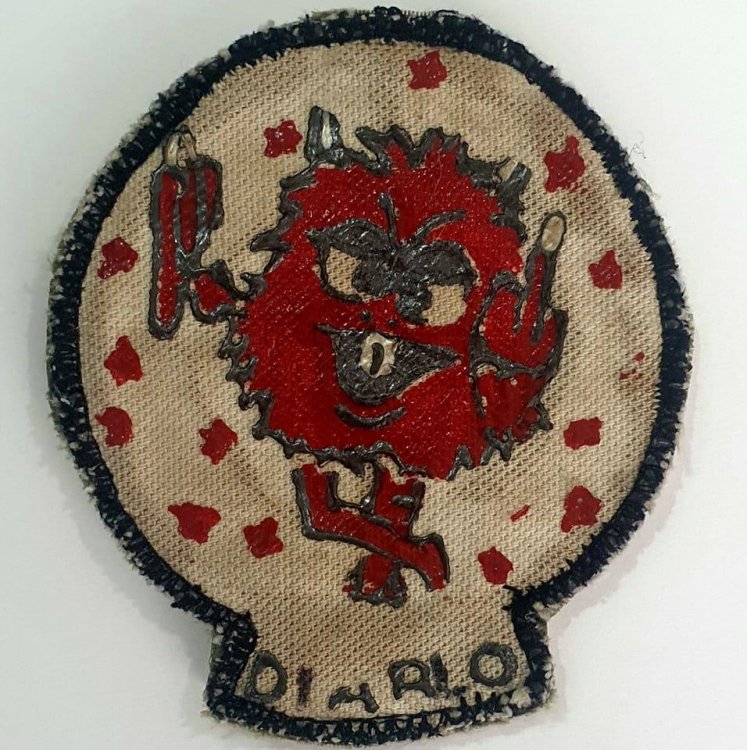Doioblo-01_CNEL FCO Sosa Mass F-5_Model_patch.jpg