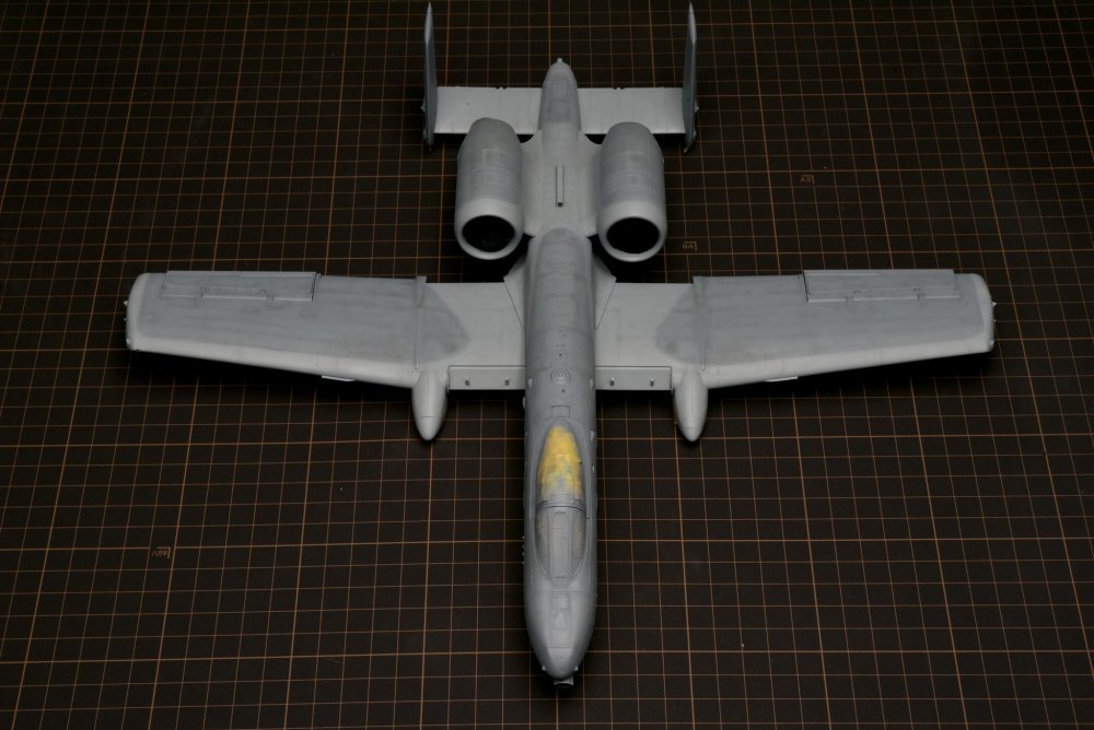 DSC_0629.thumb.jpg.e4a87cf29f2a2d8d10003d41c8e7177e.jpg