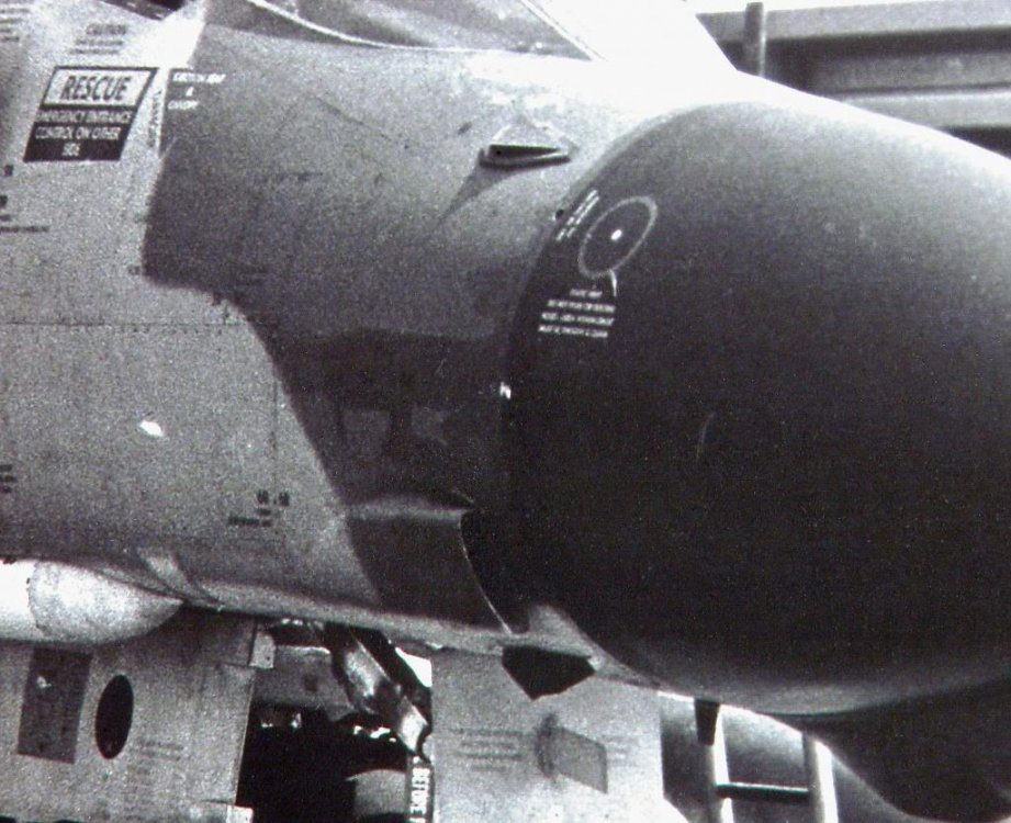 1758814890_ER-142Antenna.thumb.jpeg.f0038bbafd152ca2f2caa78afba01180.jpeg