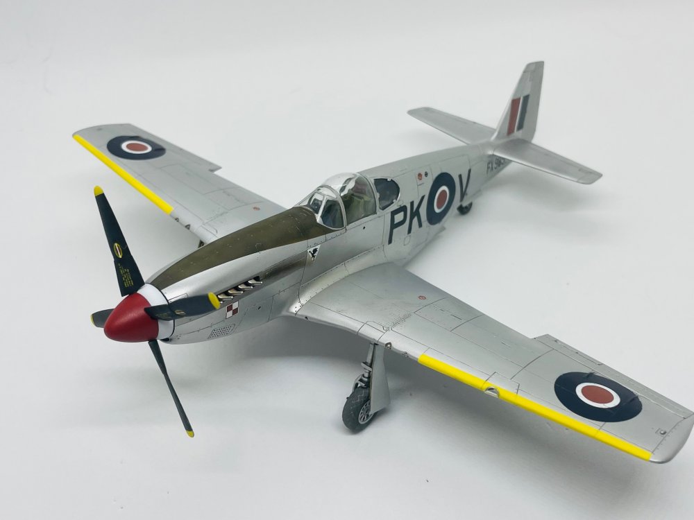 p51 1.jpg