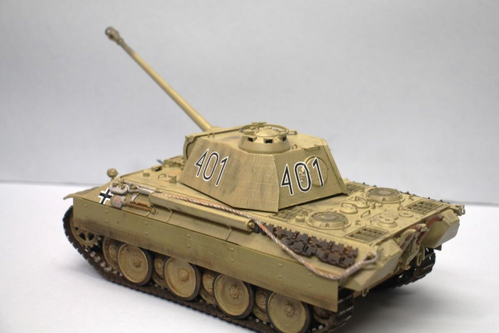 Panther 401 3.JPG
