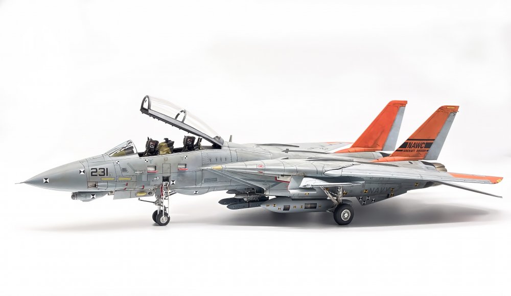 Derks NAWC F-14D_03.jpeg
