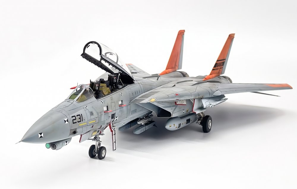 Derks NAWC F-14D_06.jpeg