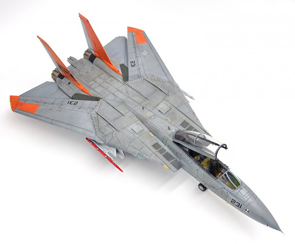Derks NAWC F-14D_25.jpeg