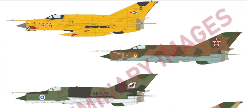 Edu MiG-21bis May  4.jpg