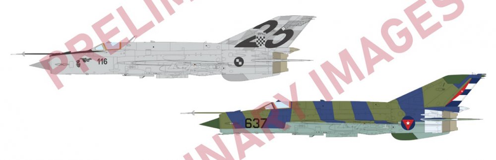 Edu MiG-21bis May  6.jpg