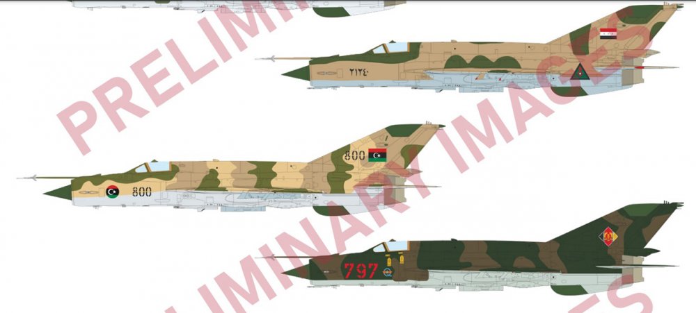 Edu MiG-21bis May  5.jpg