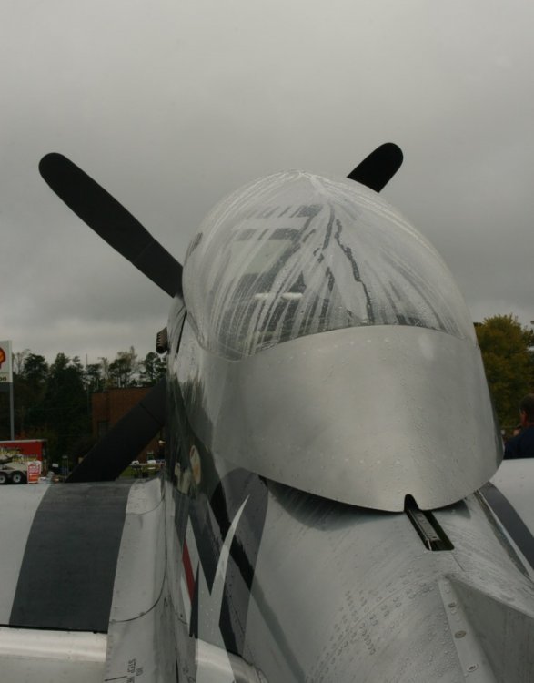CANOPY.jpg