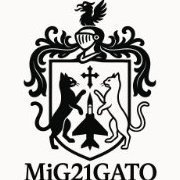 mig21gato