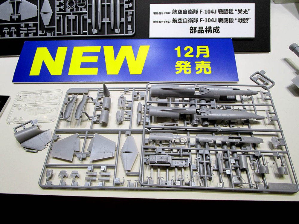 FineMolds F-104 Shizuoka 14.jpg