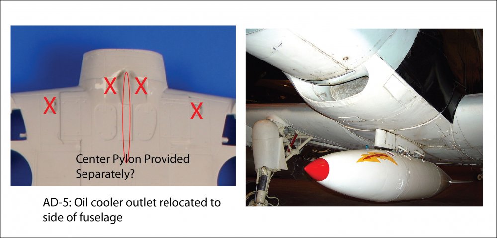 AD-5 Lower Center Wing 2of2.jpg